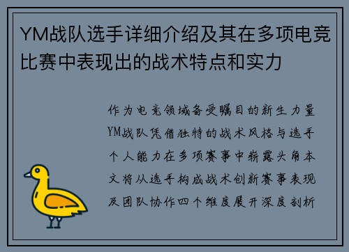 YM战队选手详细介绍及其在多项电竞比赛中表现出的战术特点和实力